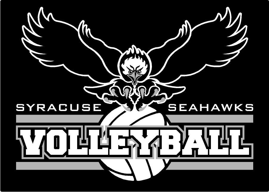 boysvolleyball
