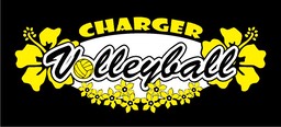 centvolley04