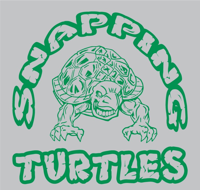 scoutsturtles