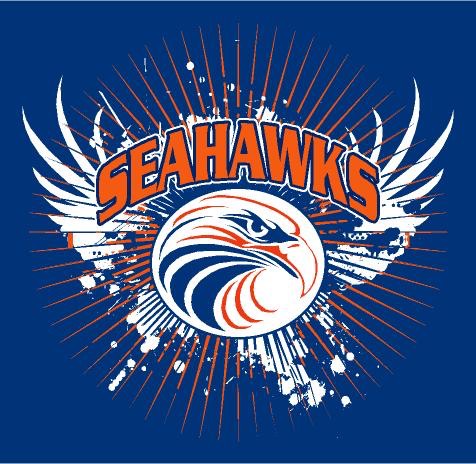 seahawksun